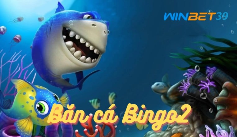 Chơi bắn cá Bingo2 săn quà thưởng nóng 1 Chơi bắn cá Bingo2 săn quà thưởng nóng